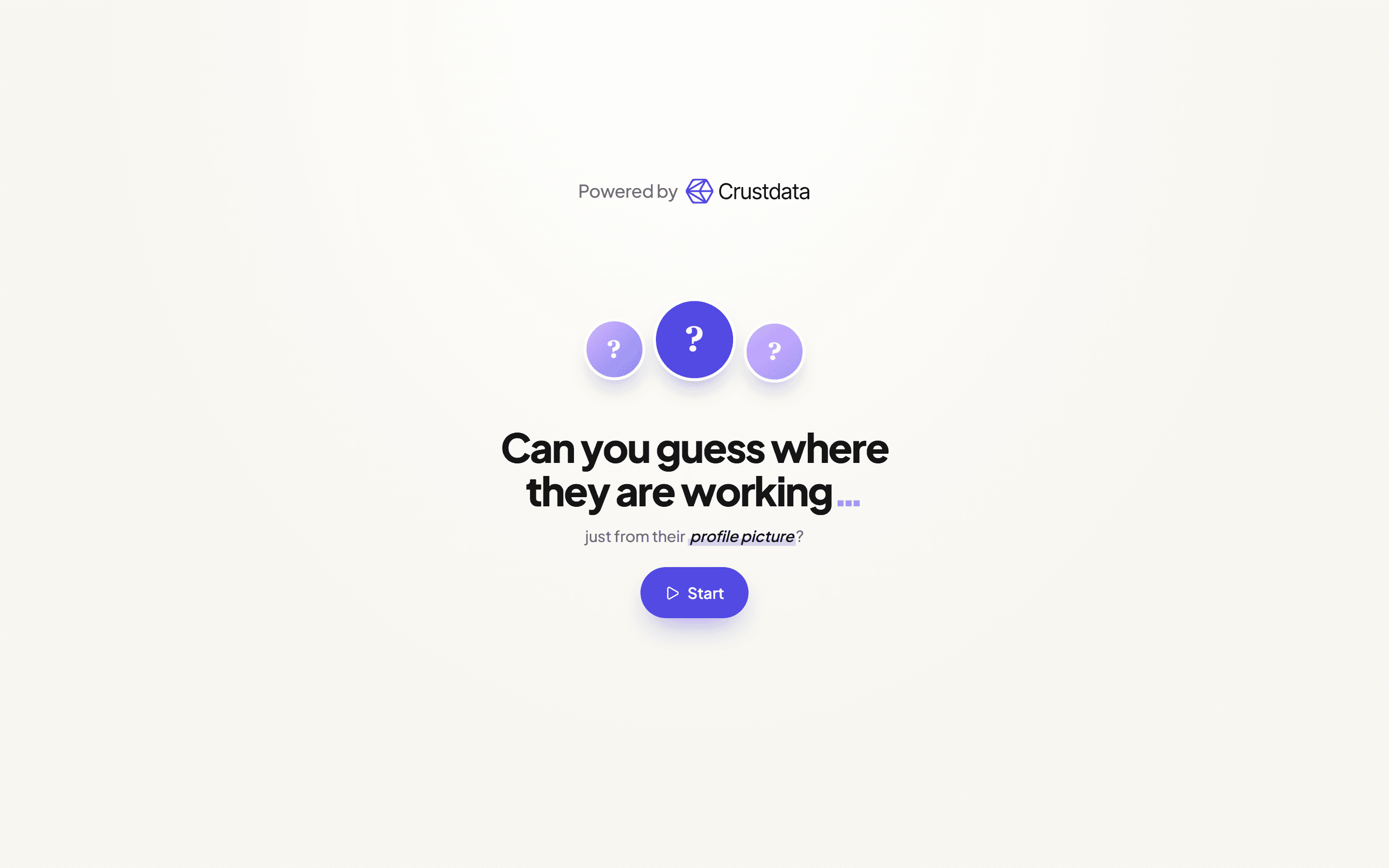 Guess The Company preview